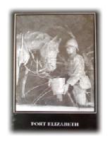 Port Elizabeth - A Social Chronicle